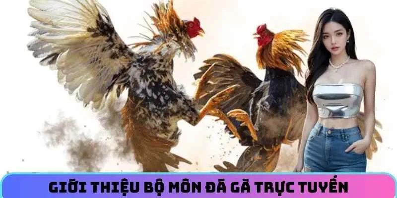 gioi-thieu-bo-mon-da-ga-truc-tuyen