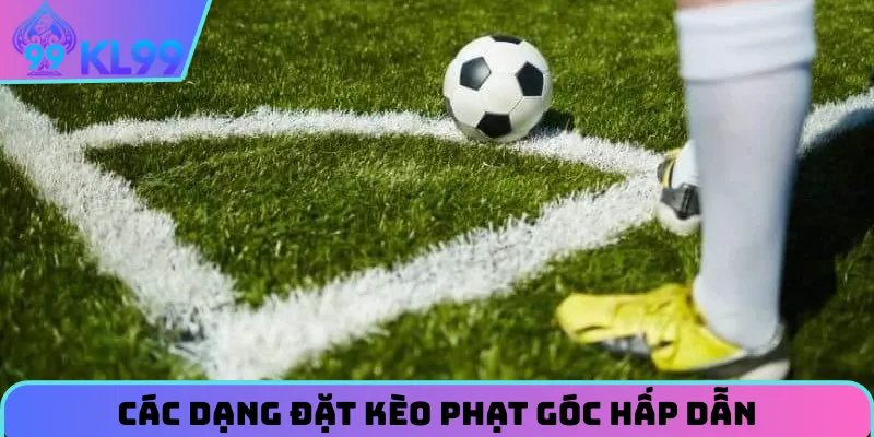 kham-pha-cac-dang-dat-keo-phat-goc-hap-dan