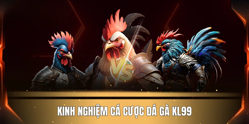 kinh-nghiem-ca-cuoc-da-ga-kl99