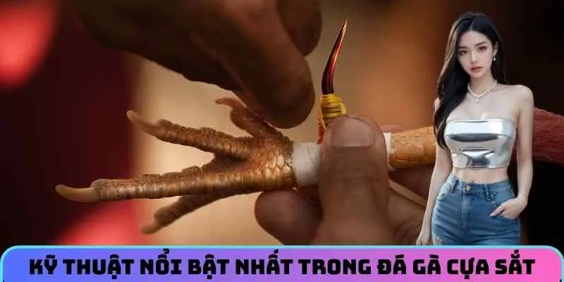 ky-thuat-noi-bat-trong-da-ga-cua-sat