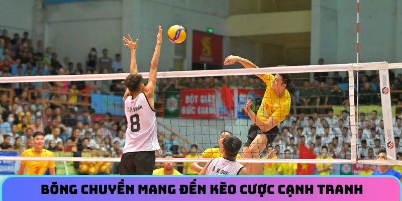 the-thao-kl99-bong-chuyen
