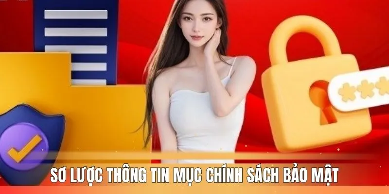 tong-quan-thong-tin-muc-chinh-sach-bao-mat