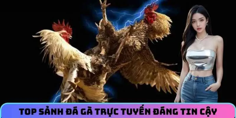 top-sanh-da-ga-truc-tuyen-dang-tin-cay