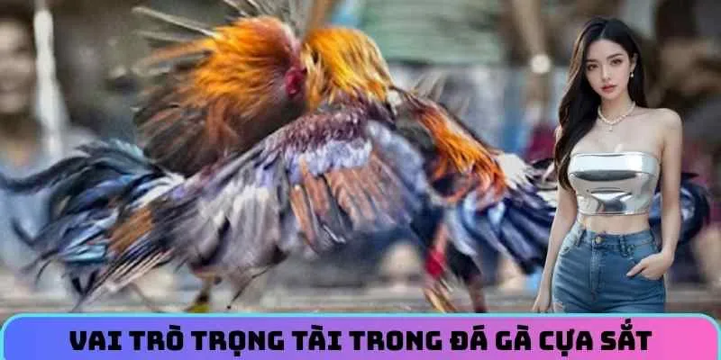 vai-tro-trong-tai-trong-da-ga-cua-sat