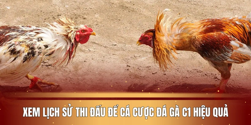 xem-lich-su-thi-dau-cua-chien-ke-de-ca-cuoc-da-ga-c1-hieu-qua